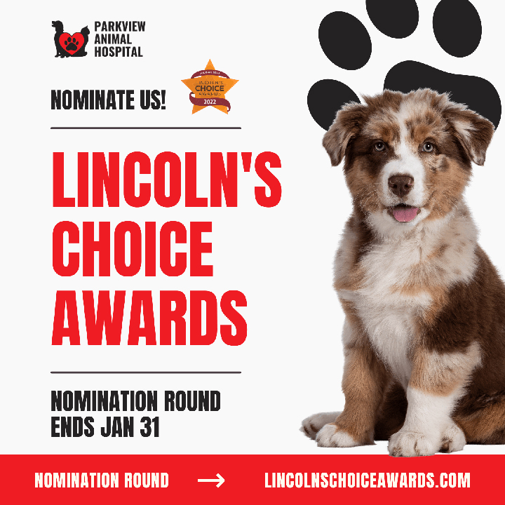 Lincoln Choice Awards
